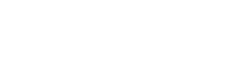 Zee Brains